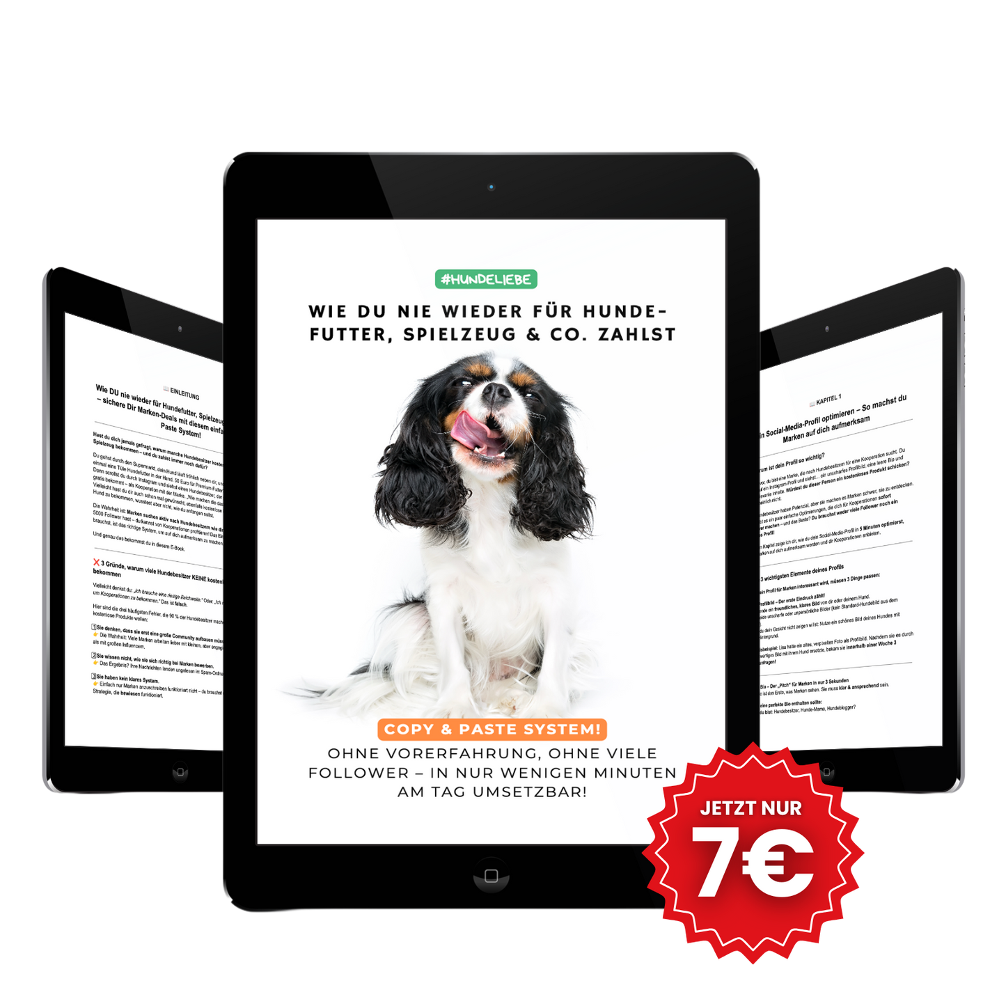 Das Geheimnis, wie clevere Hundebesitzer kostenloses Futter & Zubehör sichern!